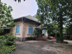 Biệt thự 800m² trần văn mười – giá ngộp chỉ 10,5 tỷ – giảm sâu