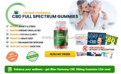 Bliss harmony cbd review 2026: thc-free wellness in the usa
