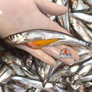 Cá trứng nauy có phù hợp cho trẻ em và người lớn tuổi?