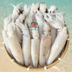 Các món ngon từ mực trứng được yêu thích nhất