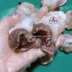 Cách làm sạch ốc giấy? ốc giấy làm món gì ngon?