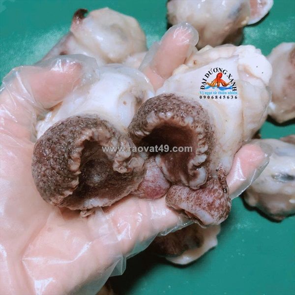 Cách làm sạch ốc giấy? ốc giấy làm món gì ngon?