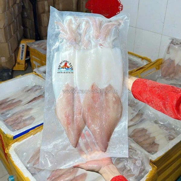 Cách nhận biết mực 1 nắng phan thiết chính hiệu chuẩn đặc sản