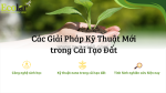 Cải tạo đất và giải pháp kiến tạo hệ sinh thái nông nghiệp bền vững