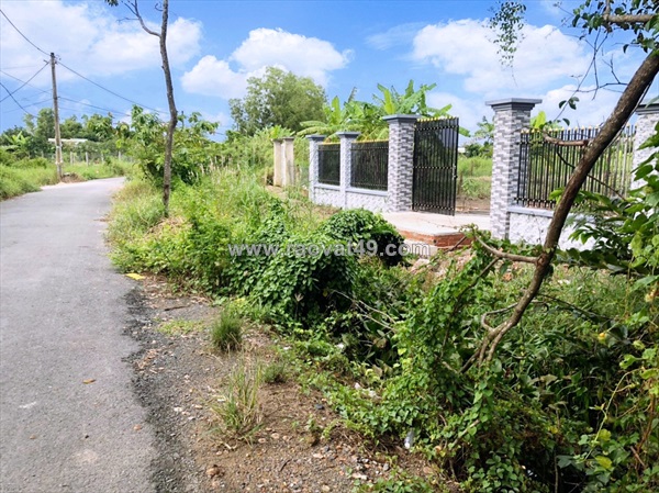 Cần bán 1000m2 đất vườn mt đường nhựa có trả có bán