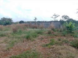 Cần bán đất 3.000 m² – đường kim long – láng lớn, xã kim long, huyện châu đức,