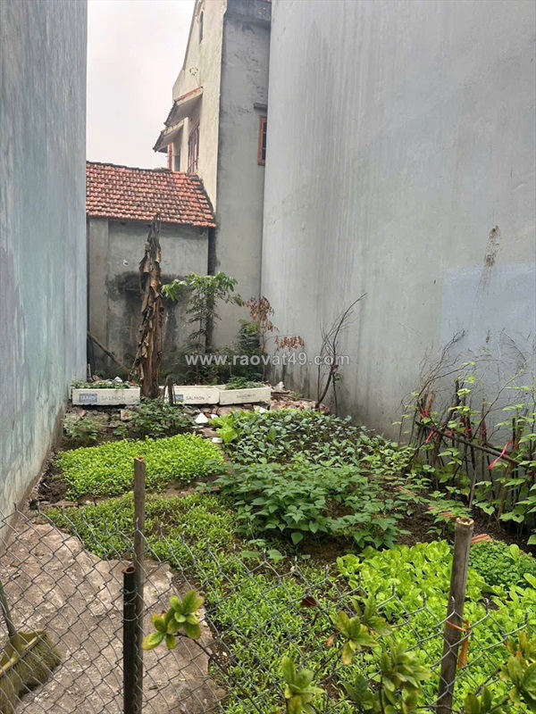 Cần bán đất cựu quán – đức thượng – 41.2m², sát khu đô thị tân việt, dân trí