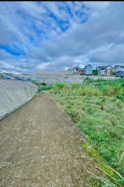 Cần bán gấp đất nền biệt thự đường mai xuân thưởng, p. lâm viên – đà lạt giá