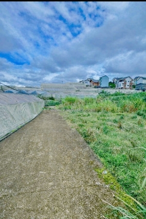 Cần bán gấp đất nền biệt thự đường mai xuân thưởng, p. lâm viên – đà lạt giá