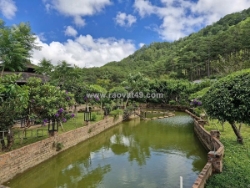 Cần bán lô đất rộng view đẹp 19.000m2 mặt tiền mimoza, đà lạt