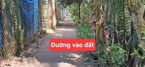 Cần thanh lý gấp lô đất thổ cư giá tốt tại giồng trôm