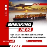 Cập nhật: msc xem xét mua trọn gói đội tàu container của sinokor