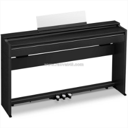 Casio ap-s200 và roland rp107 – đàn nào phù hợp để luyện tập