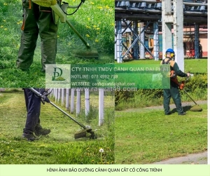 Cắt cỏ phát hoang đồng nai cho công trình – nhà máy – nhà xưởng