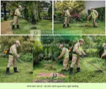Cắt cỏ vệ sinh cảnh quan đồng nai chuyên nghiệp