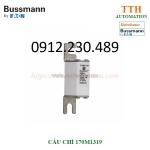 Cầu chì bussmann 170m1319 kiểu cầu chì bán dẫn(cắt nhanh), thuộc nhóm gr – bảo vệ quá tải và ngắn mạch