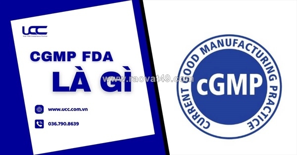 ~/Img/2026/1/cgmp-fda-la-gi-huong-dan-doanh-nghiep-hieu-dung-cgmp-fda-01.jpg