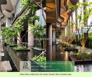 Chăm sóc cây xanh trung tâm thương mại