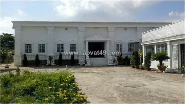 Chính chủ bán gấp 1,554m2 đất mặt tiền ql1a, xã nhị thành, huyện thủ thừa, long an
