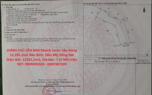 Chính chủ cần bán nhanh vườn sầu riêng 12,201.2m2 bảo bình, cẩm mỹ, đồng nai