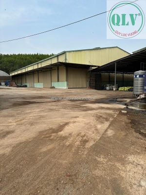 Cho thuê đất và nhà xưởng – vĩnh tân, vĩnh cửu, đn – 5.000m²