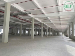 Cho thuê khu nhà xưởng – kcn bàu bàng, bd – 52.815m²