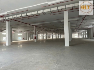 Cho thuê nhà xưởng – kcn tân bình, bd – 24.000m²
