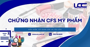 Chứng nhận cfs mỹ phẩm: điều kiện, cơ quan cấp và yêu cầu