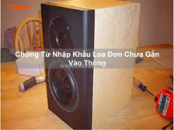 Chứng từ nhập khẩu loa đơn chưa gắn vào thùng