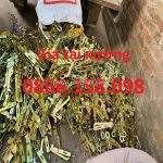 Có nên sử dụng khóa tôm gạt lò xo giá rẻ hay không?