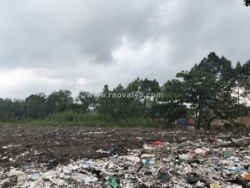 Cực hiếm! 6790m2 đất no đường  đào trí, phú thuận  q7 hcm, chỉ 160 tỷ