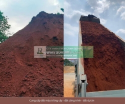 Cung cấp đất trồng cây công trình đồng nai tphcm 2026