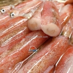 Cung cấp mực trứng tươi và đông lạnh – nên chọn loại nào?