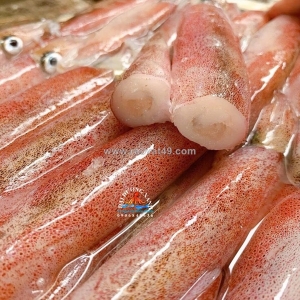 Cung cấp mực trứng tươi và đông lạnh – nên chọn loại nào?