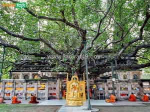 Cùng traveltalk khám phá tour hành hương đến tháp đại giác bồ đề đạo tràng