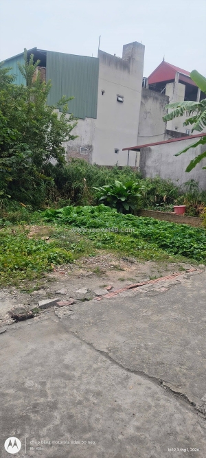 Đất bắc hồng 53m2, mt4.3m, ô tô, 3.5 tỷ, đông anh, gần phố.