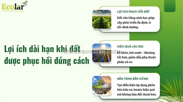 ~/Img/2026/1/dat-canh-tac-suy-kiet-dinh-duong-dau-hieu-phuc-hoi-02.jpg