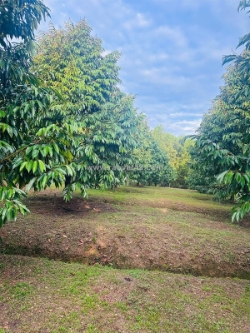 Đất đẹp – giá đầu tư - chính chủ cần bán lô đất  đường quốc lộ 14, đồng tiến,