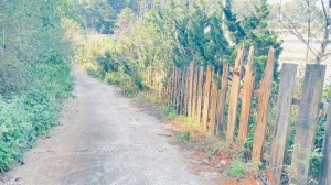 Đất phân quyền giá rẻ, khu dân cư đang phát triển vạn thành, phường 5 đà lạt