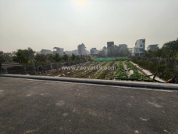 Đất ruộng vân nội 264m2, mt10m, lúa nước, 950tr, ngay đấu giá, đông anh.