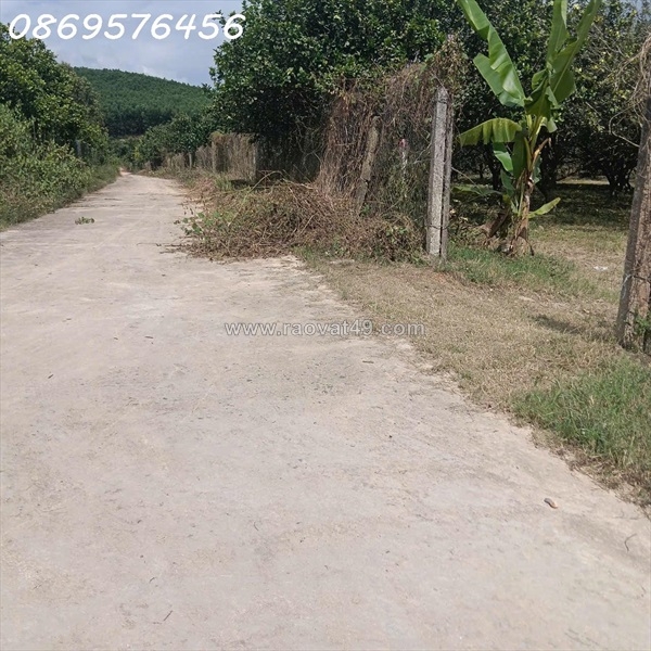 ~/Img/2026/1/dat-vuon-gia-chi-150-tr-co-ngay-500-met-tai-khanh-hoa-02.jpg