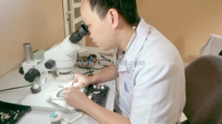 Dịch vụ bảo hành - bảo dưỡng, sửa chữa  máy trợ thính