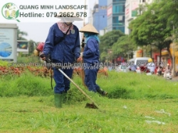 Dịch vụ chăm sóc bảo dưỡng sân vườn đồng nai, hcm