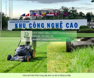 Dịch vụ chăm sóc cây xanh kcn công nghệ cao tp.hcm