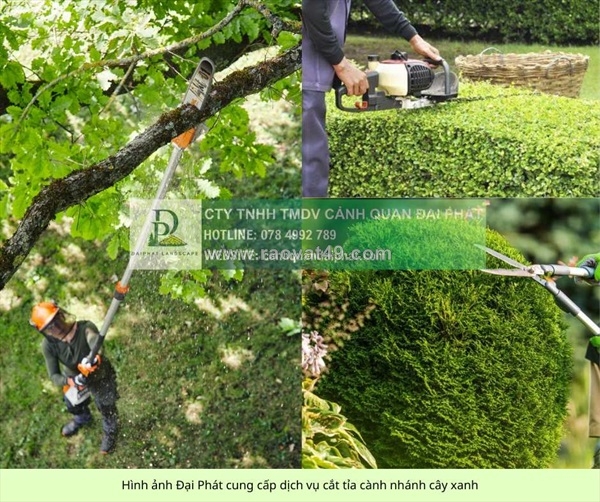 ~/Img/2026/1/dich-vu-cham-soc-cay-xanh-kcn-cong-nghe-cao-tphcm-02.jpg