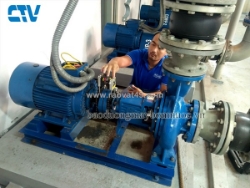 Dịch vụ cho thuê máy bơm đi kèm lắp đặt và vận hành trọn gói