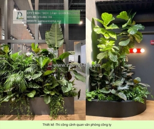 Dịch vụ thiết kế & thi công cây xanh công trình thương mại tại tp.hcm