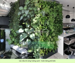 Dịch vụ thiết kế & thi công tường xanh – vườn đứng chuyên nghiệp