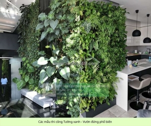 Dịch vụ thiết kế & thi công tường xanh – vườn đứng chuyên nghiệp