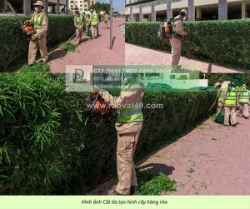 Đội ngũ chăm sóc cảnh quan định kỳ nhà máy đồng nai chuyên nghiệp